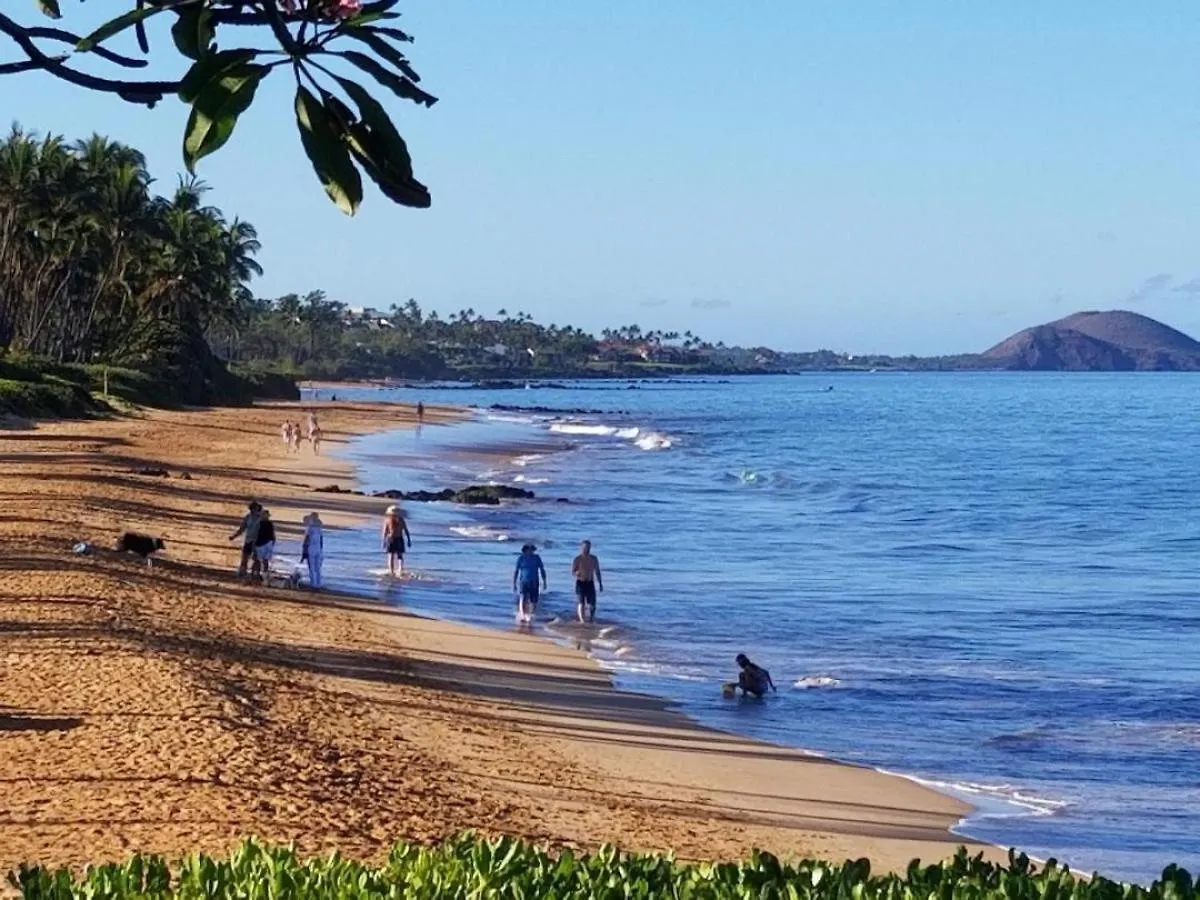 Hale Kamaole 123 Villa Wailea  Holiday home Wailea (Maui)
